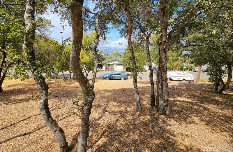 9599 Timberline
