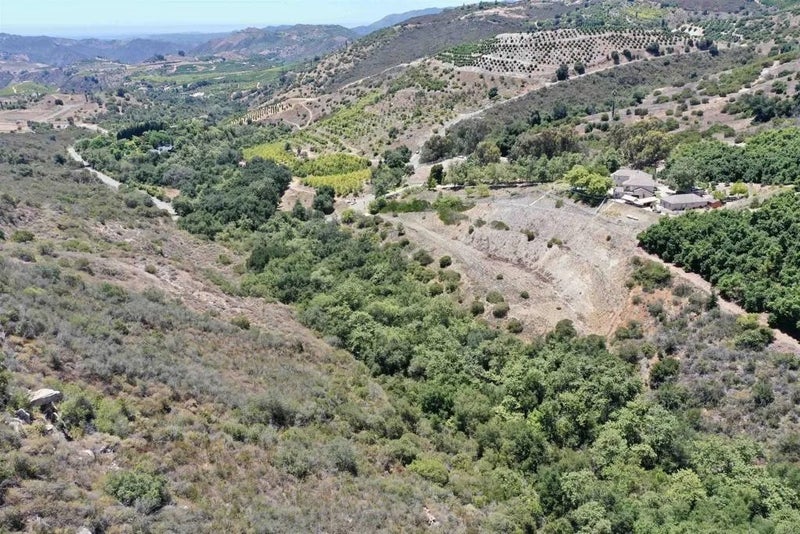 El Calamar