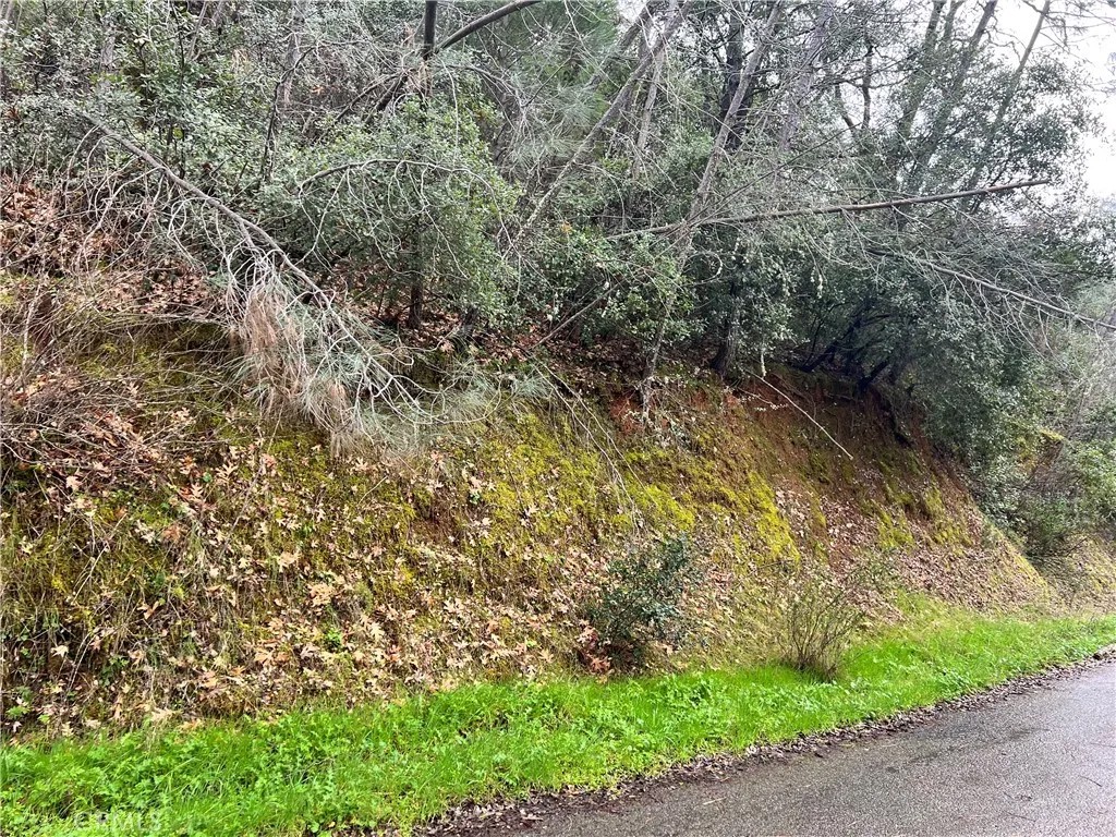 7022 Black Oak