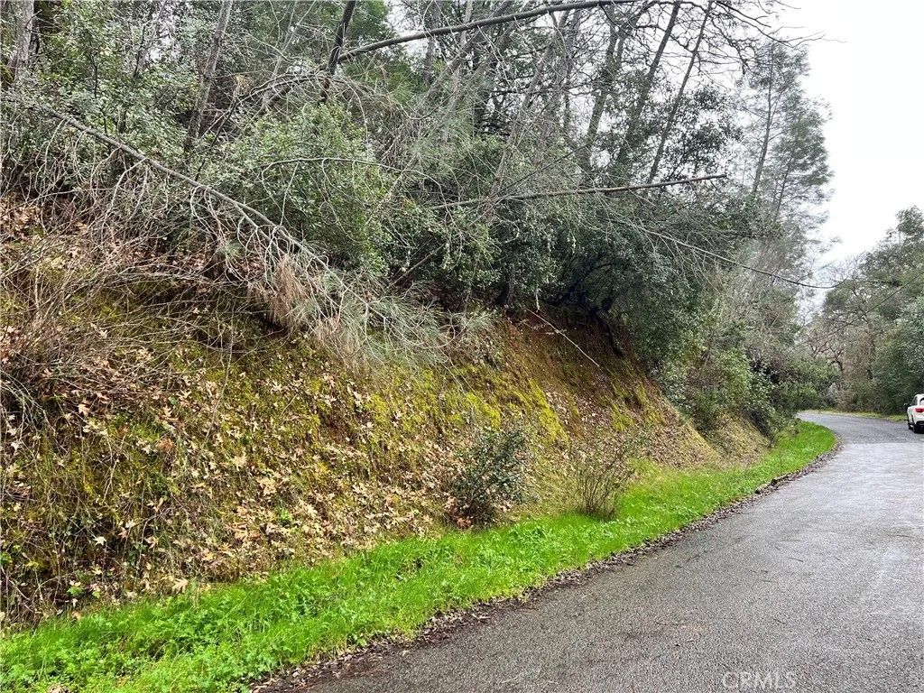 Photo of 7022 Black Oak St, Nice, CA 95464 (MLS # LC26032285)