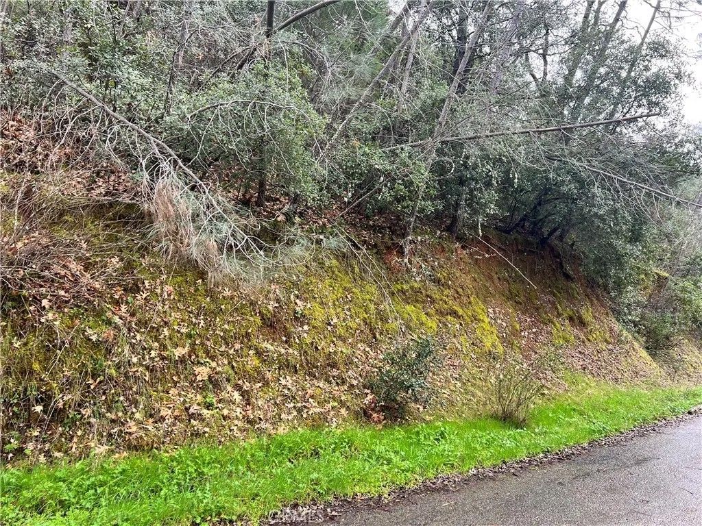 Photo of 7022 Black Oak St, Nice, CA 95464 (MLS # LC26032285)