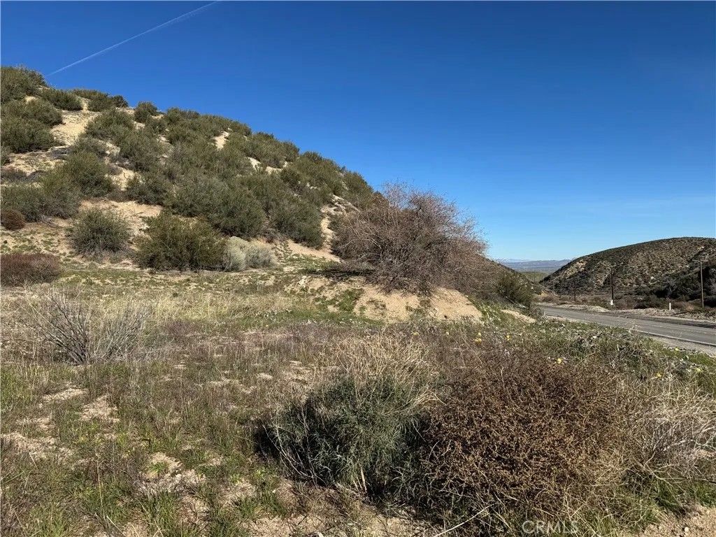 Photo of 0 Munz Ranch Rd/150 W, Del Sur, CA 93536 (MLS # SR26010960)