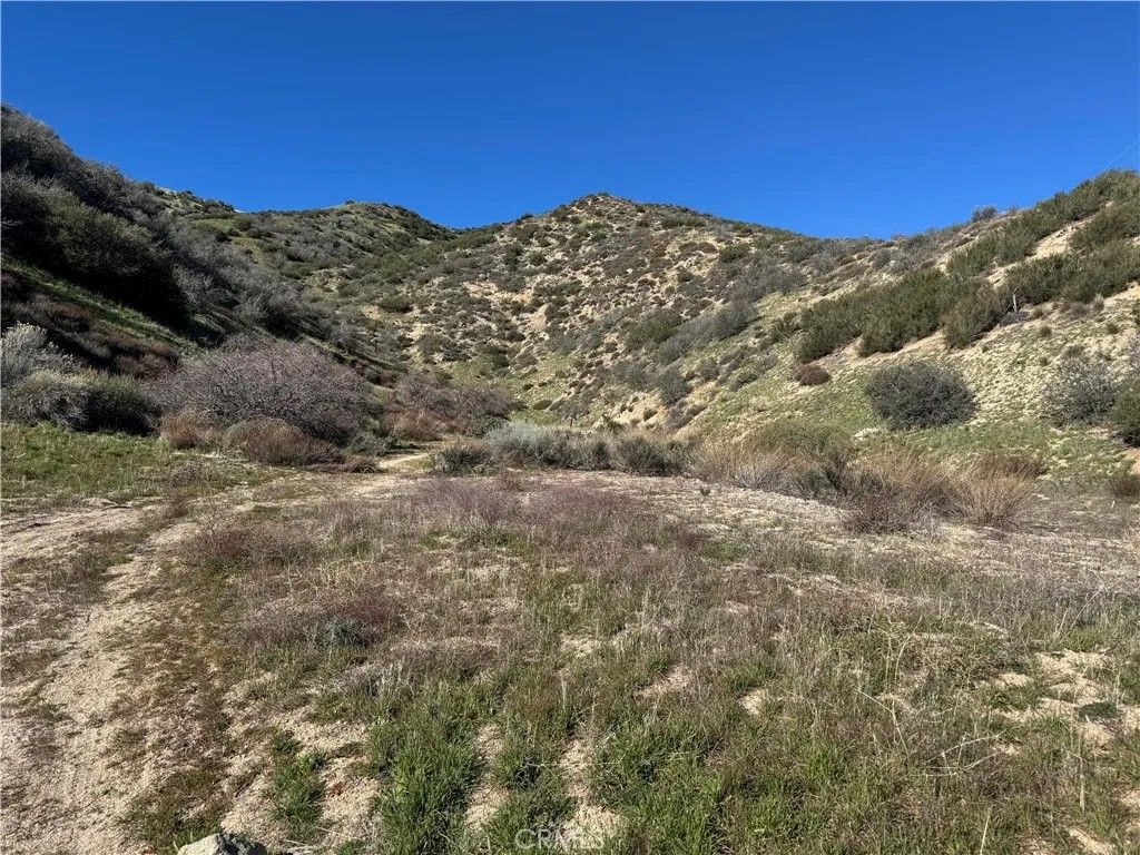 Photo of 0 Munz Ranch Rd/150 W, Del Sur, CA 93536 (MLS # SR26010960)