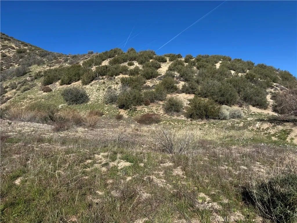 Photo of 0 Munz Ranch Rd/150 W, Del Sur, CA 93536 (MLS # SR26010960)