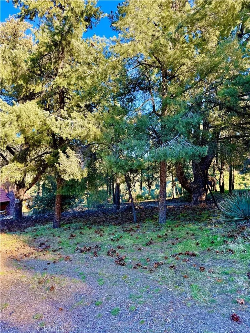 Photo of 2608 Tirol Dr, Pine Mountain Club, CA 93225 (MLS # SR26010631)