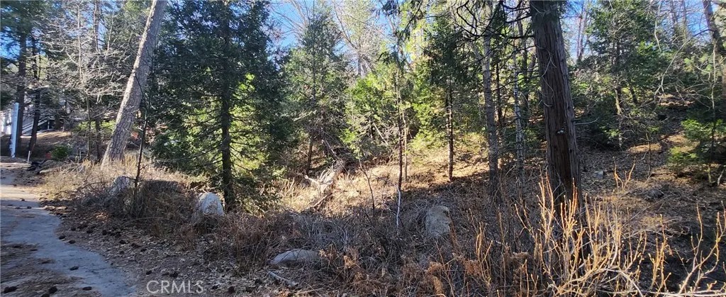 0 MEADOW