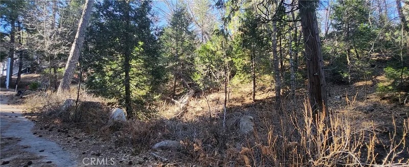 0 MEADOW