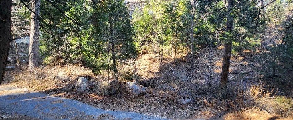 Photo of 0 Meadow, Lake Arrowhead, CA 92352 (MLS # IG26010749)