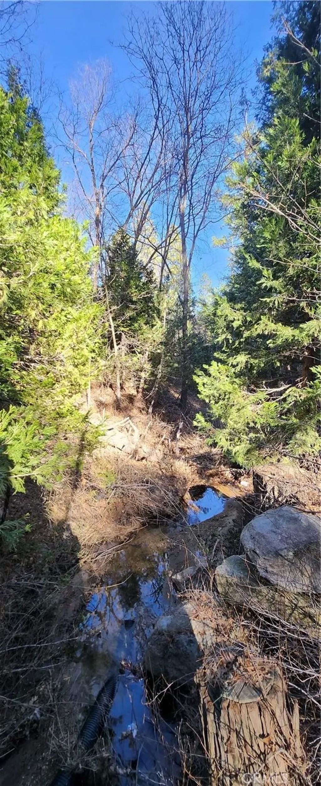 Photo of 0 Meadow, Lake Arrowhead, CA 92352 (MLS # IG26010749)