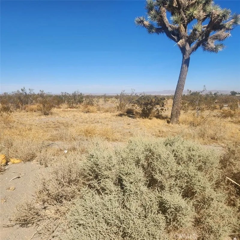 11 Palmdale