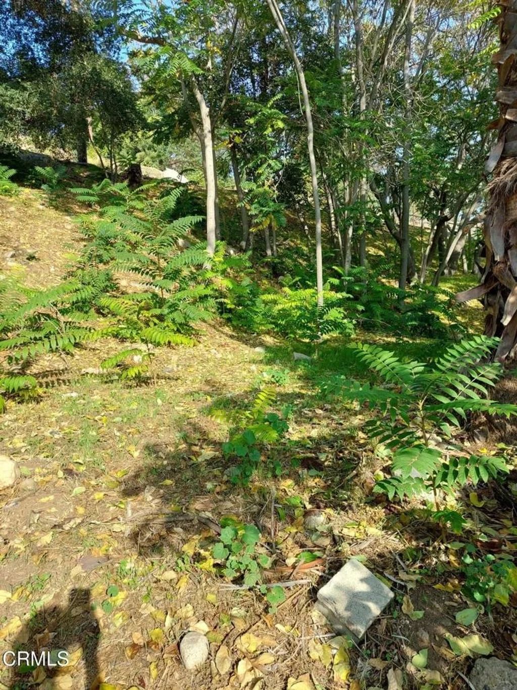 Photo of 200 S Avenue 63 Ave, Los Angeles, CA 90042 (MLS # P1-26560)