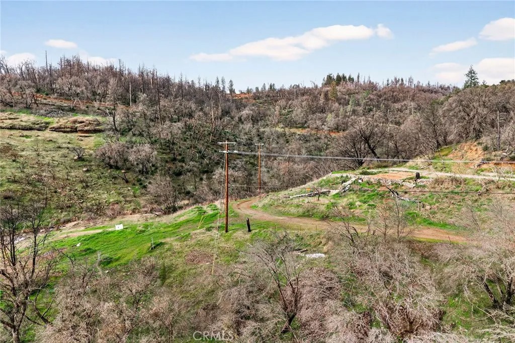 624 Ponderosa