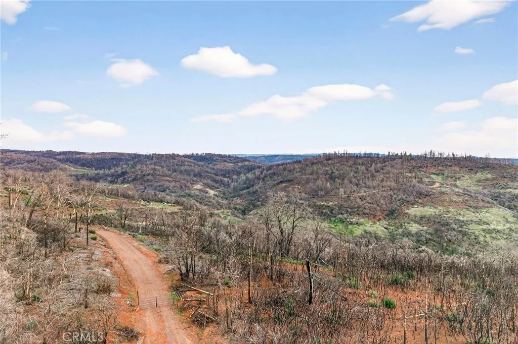 624 Ponderosa