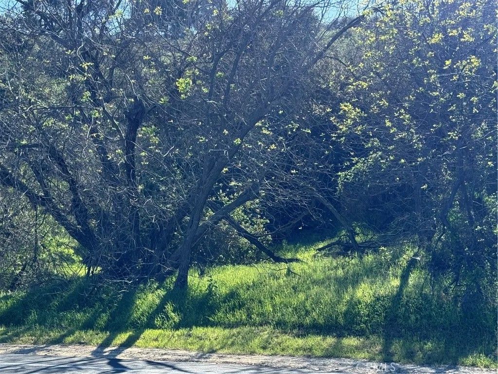 Photo of 3300 N Topanga Canyon Blvd, Woodland Hills, CA 91364 (MLS # CV26011442)