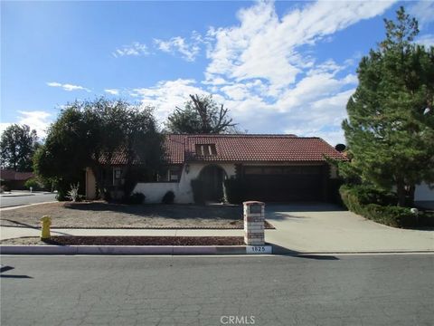 Photo of 1825 Flame Tree Way, Hemet, CA 92545 (MLS # SW25274939)
