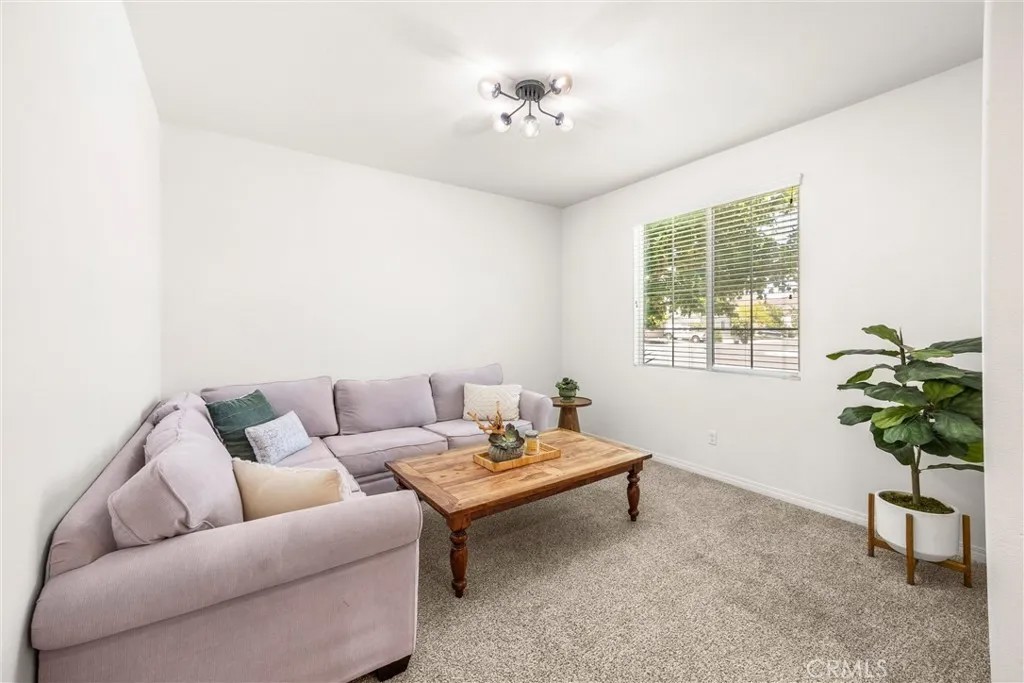 29331 Wild Lilac