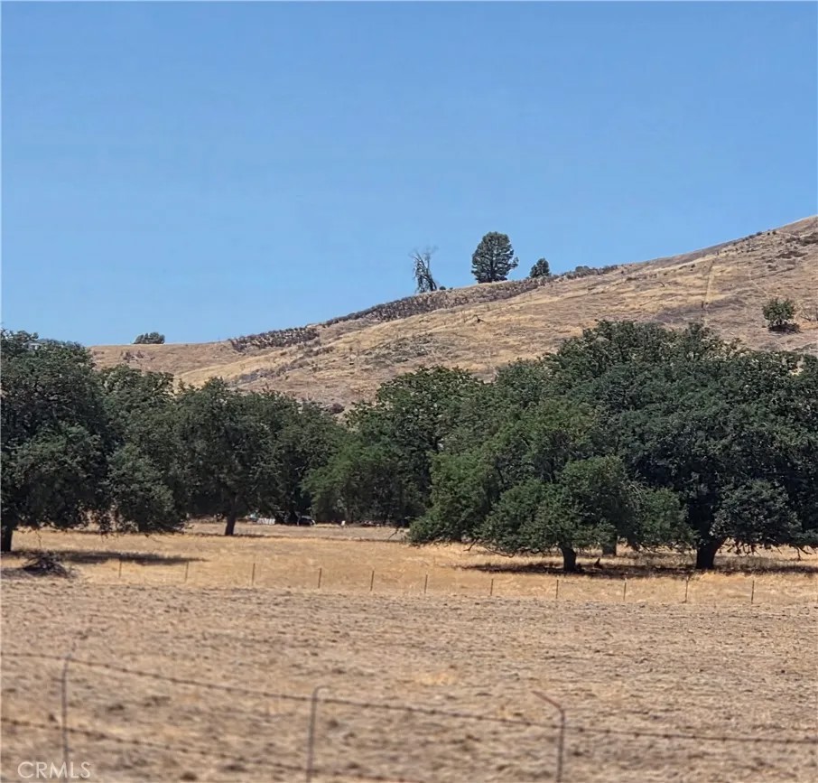 87577 Oak