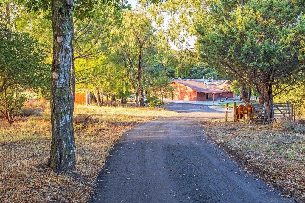 Photo of 3280 Black Oak Lane, Julian, CA 92036 (MLS # 260024263)