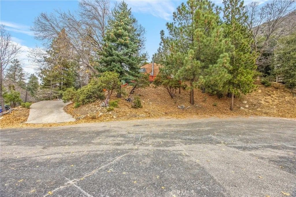 Photo of 6461 Cedar Avenue, Angelus Oaks, CA 92305 (MLS # IV25276511)