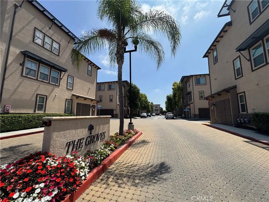 1391 Clementine Way