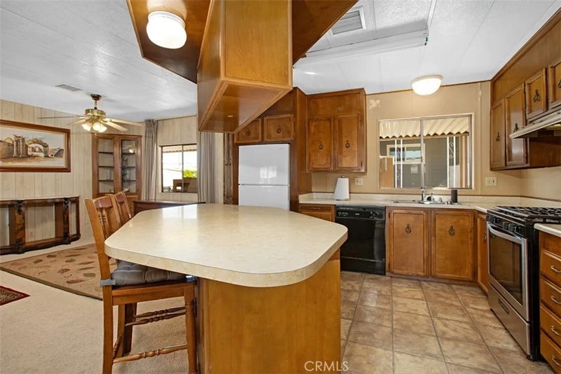30751 Paradise Palm