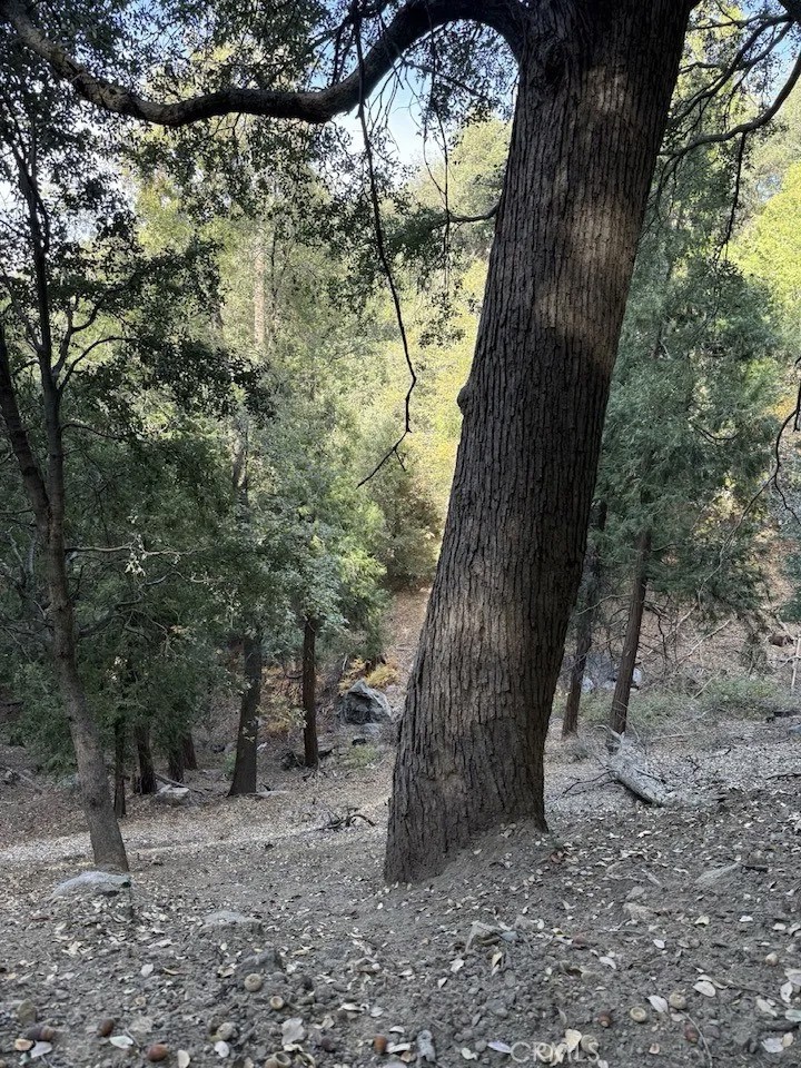 0 Mojave River