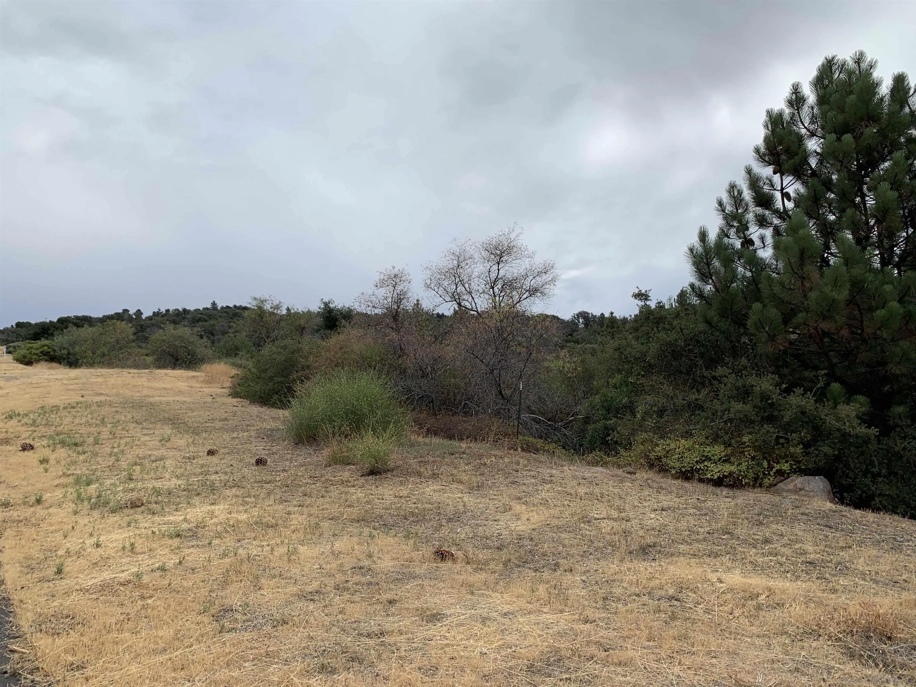 0 Incense Cedar Rd 40