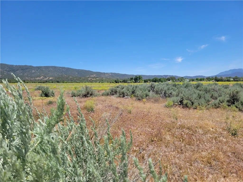 Photo of 48 Bonita Vista, Anza, CA 92539 (MLS # SW26011780)