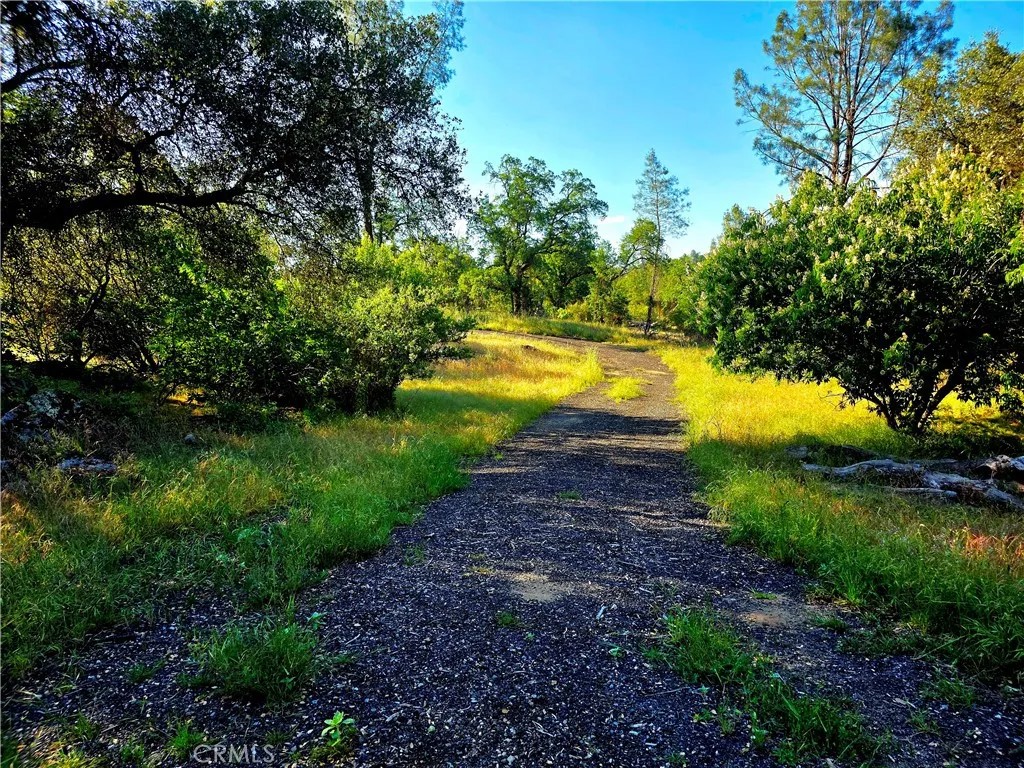 1 River Knolls