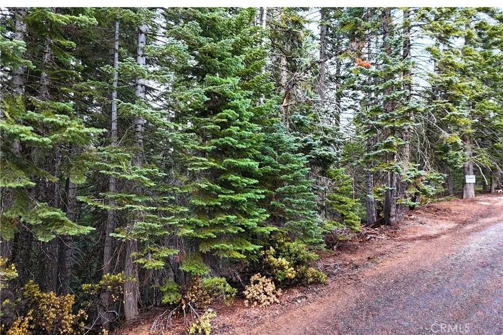 Photo of 1100 Cleghorn Dr, Quincy, CA 95971 (MLS # OC26013653)