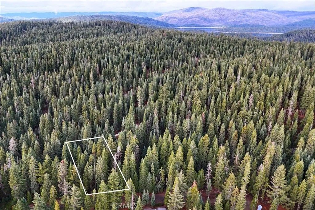 Photo of 1100 Cleghorn Dr, Quincy, CA 95971 (MLS # OC26013653)