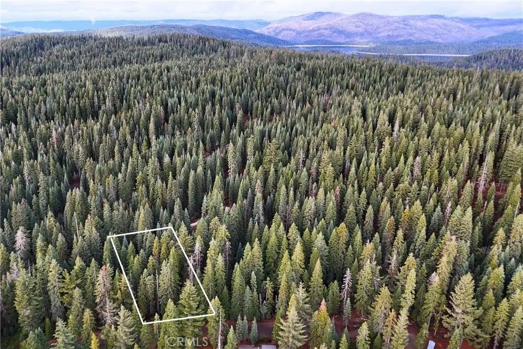 Photo of 1100 Cleghorn Dr, Quincy, CA 95971 (MLS # OC26013653)