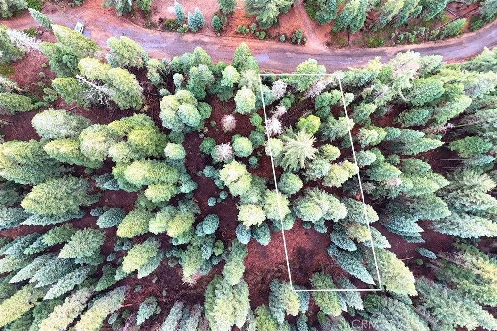 Photo of 1100 Cleghorn Dr, Quincy, CA 95971 (MLS # OC26013653)