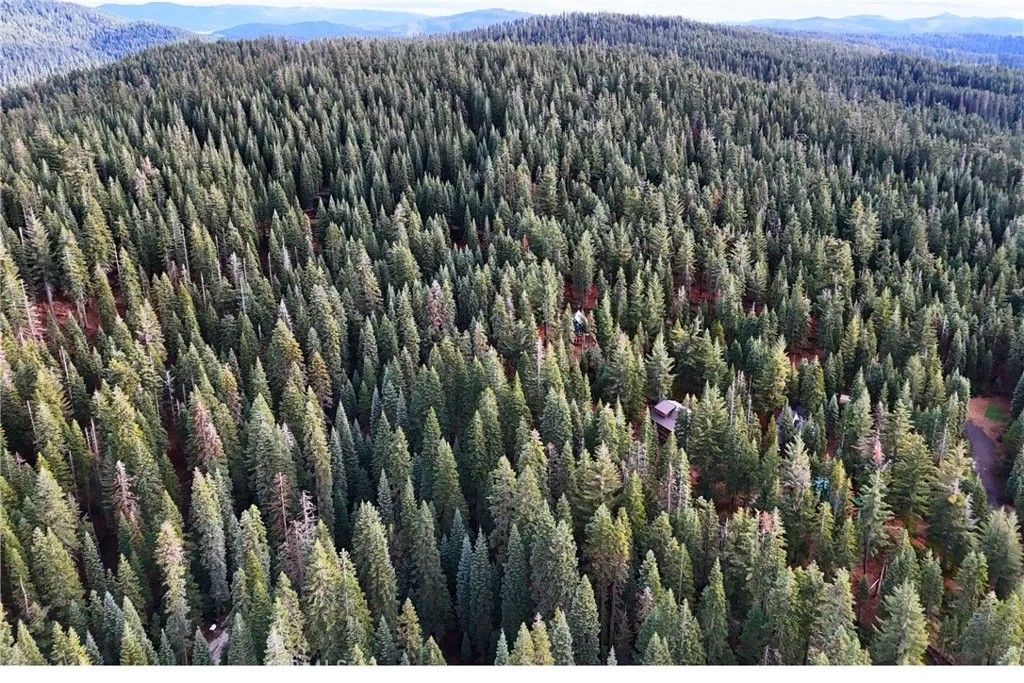 Photo of 1100 Cleghorn Dr, Quincy, CA 95971 (MLS # OC26013653)