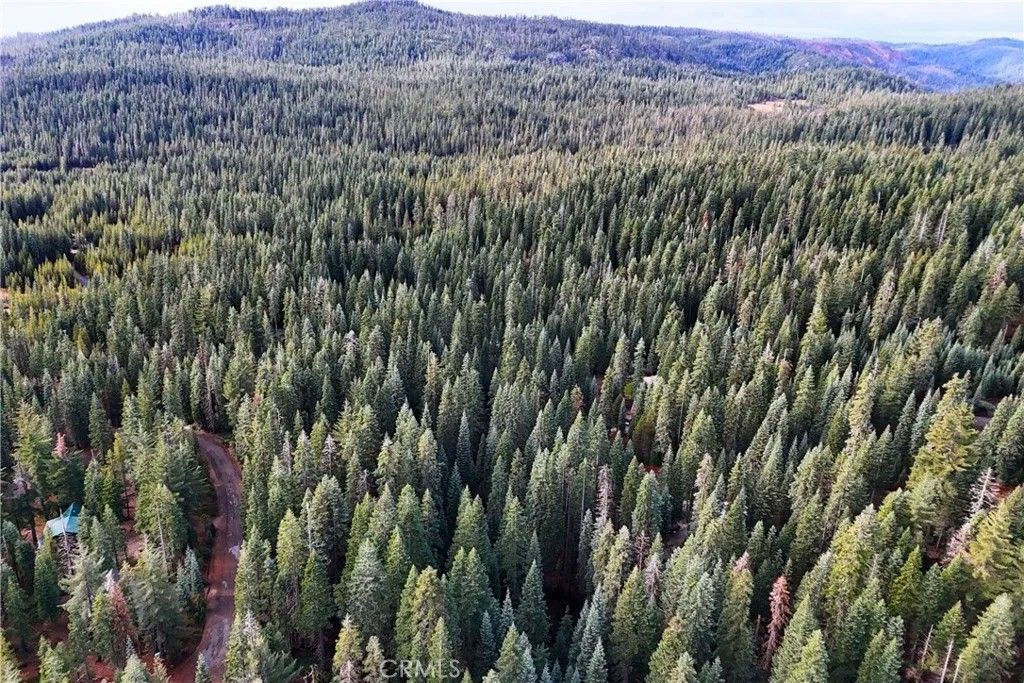 Photo of 1100 Cleghorn Dr, Quincy, CA 95971 (MLS # OC26013653)