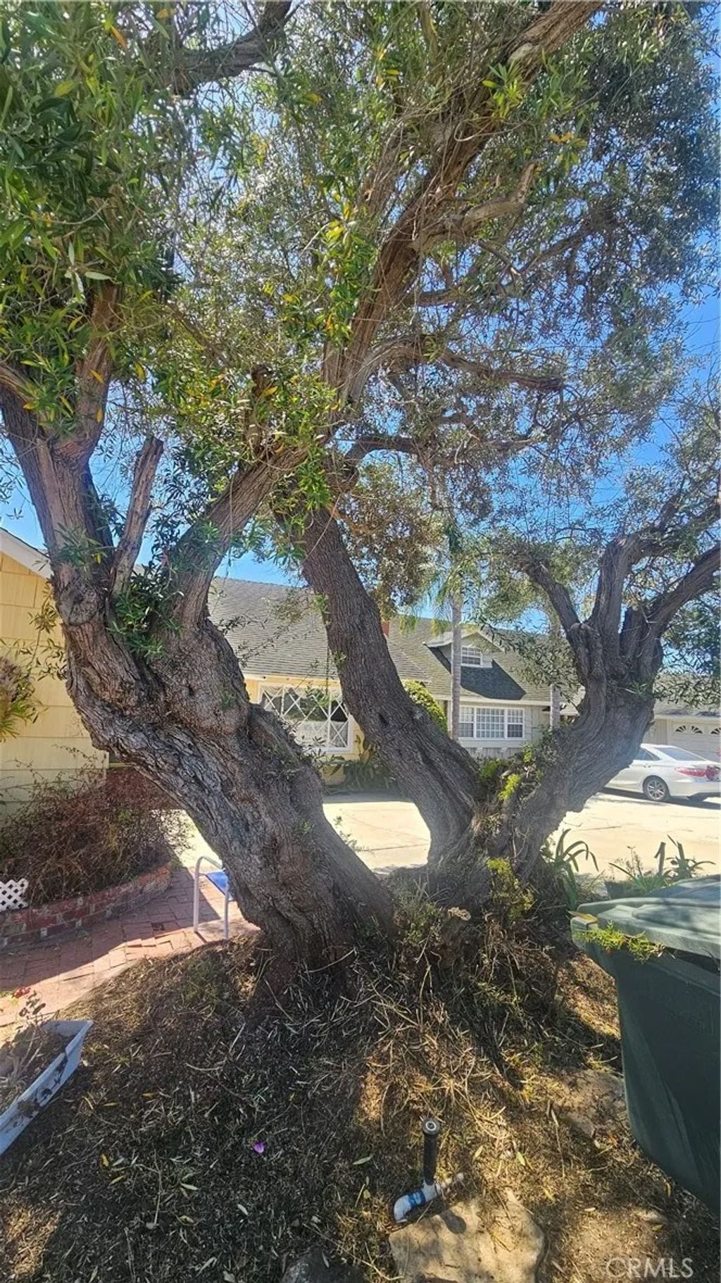 Photo of 2446 W. 229th Place, Torrance, CA 90501 (MLS # PV26048646)