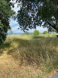 239 Eagle Nest