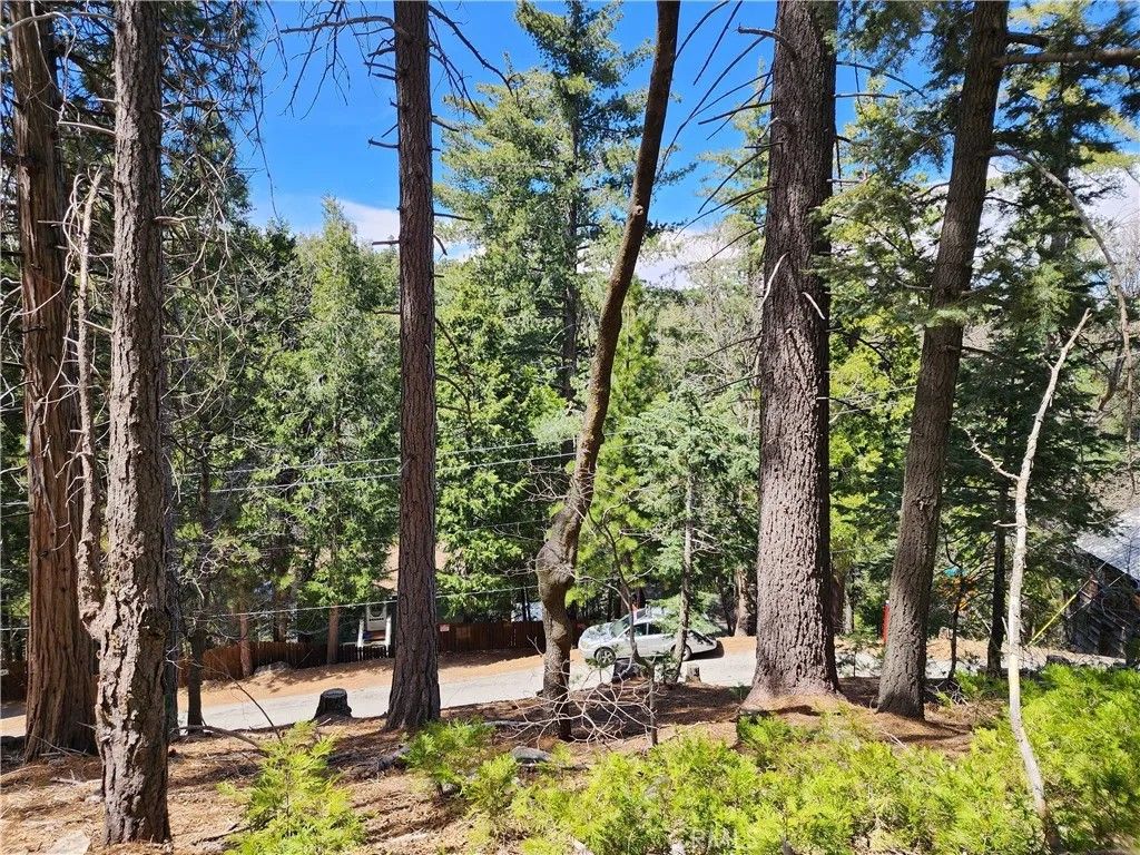 Photo of 586 Rose Ln, Twin Peaks, CA 92391 (MLS # IG25276501)