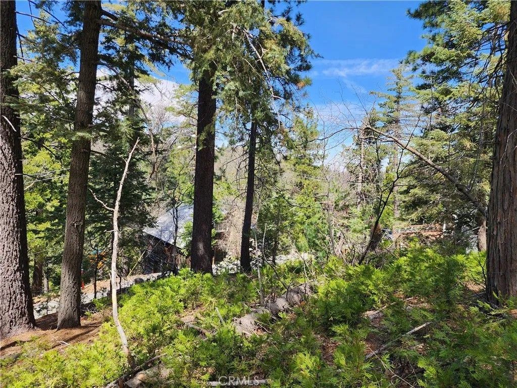 Photo of 586 Rose Ln, Twin Peaks, CA 92391 (MLS # IG25276501)