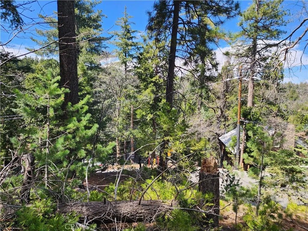 Photo of 586 Rose Ln, Twin Peaks, CA 92391 (MLS # IG25276501)