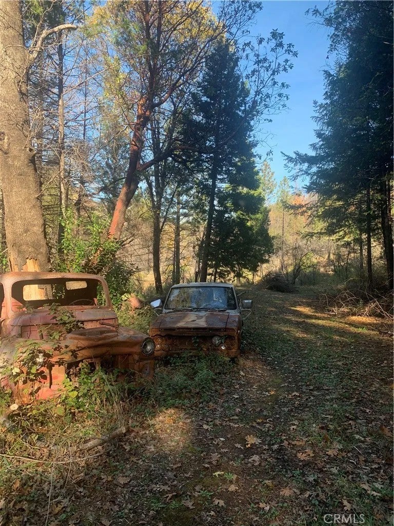 0 Four Trees Road