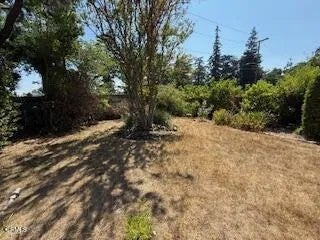 591 Alameda