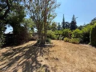 591 Alameda