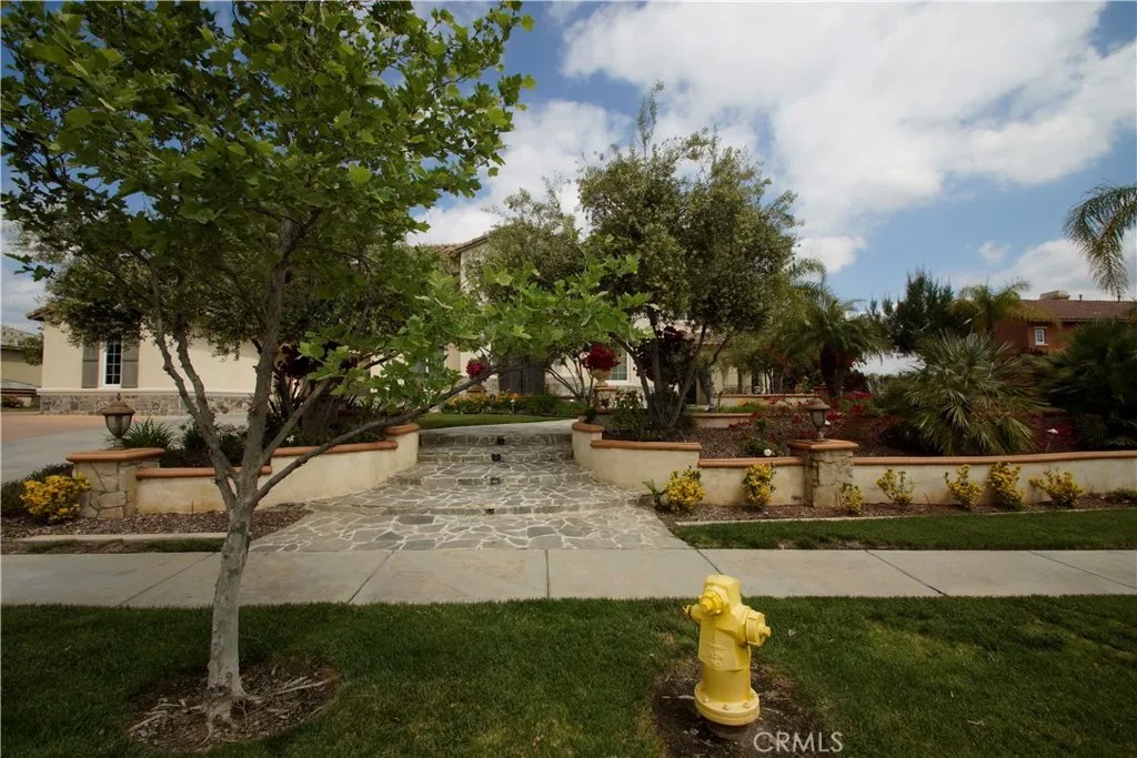 955 Randall Ranch Road