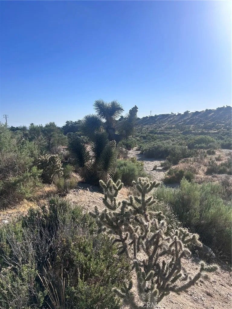 0 Yuba 3037061040000