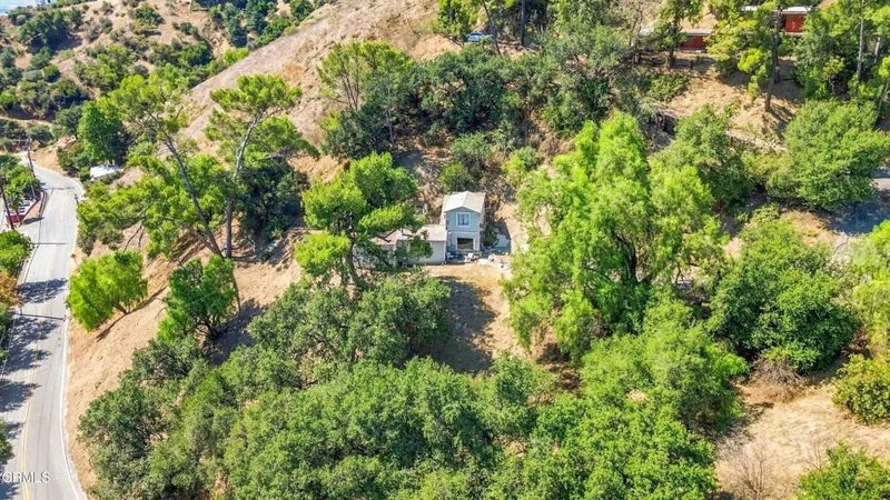 12211 Forest Trail