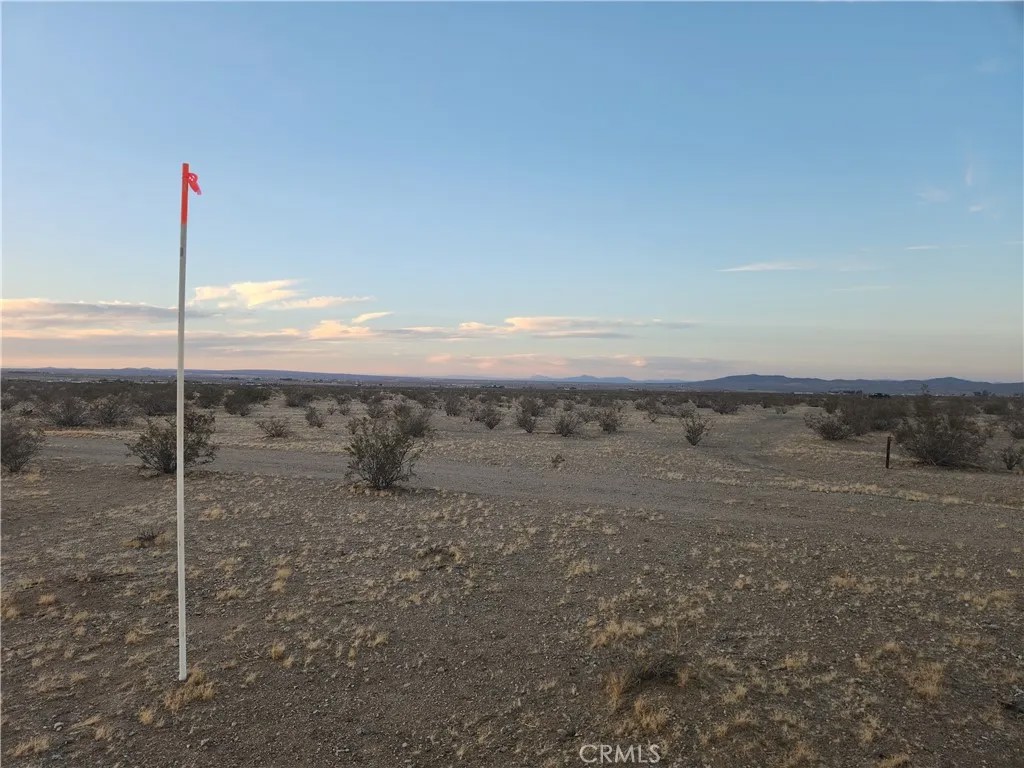 34 Panamint