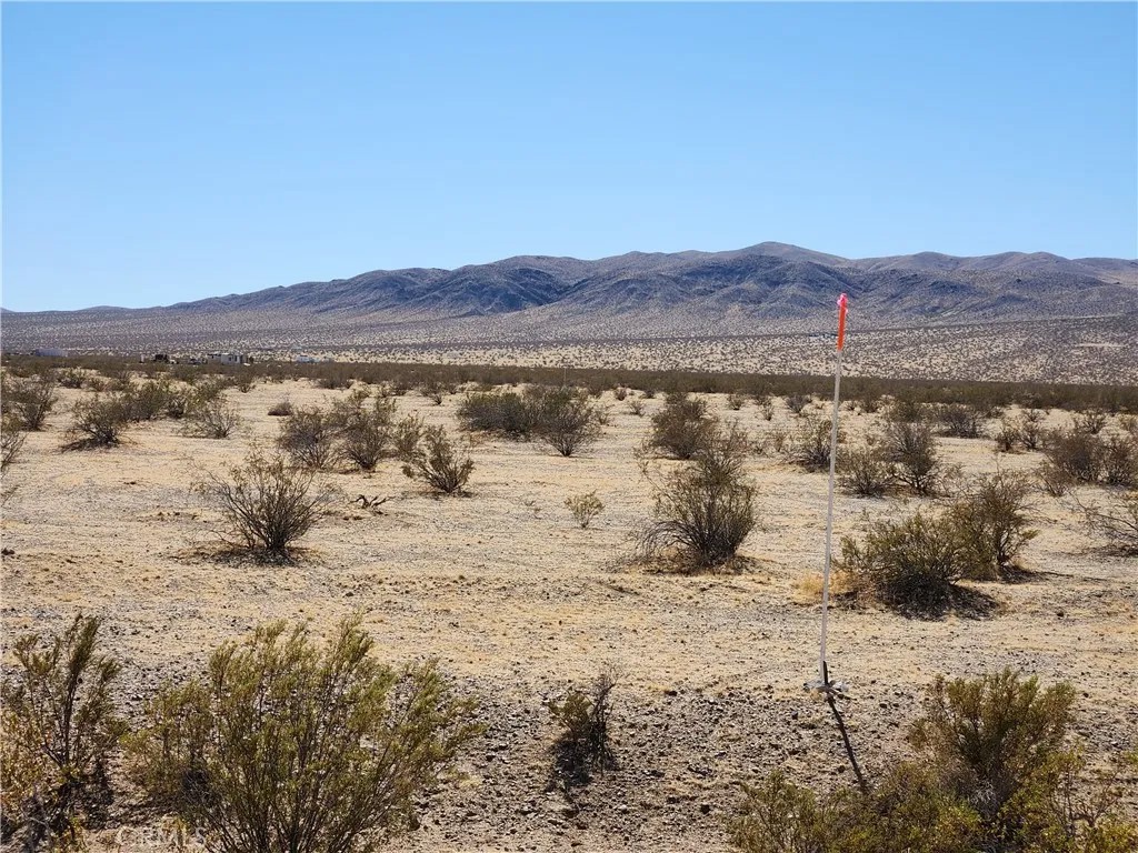 34 Panamint