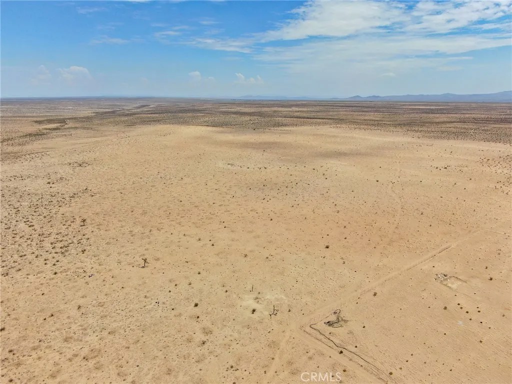 0 Desert Flower
