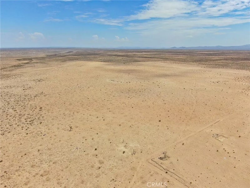 0 Desert Flower